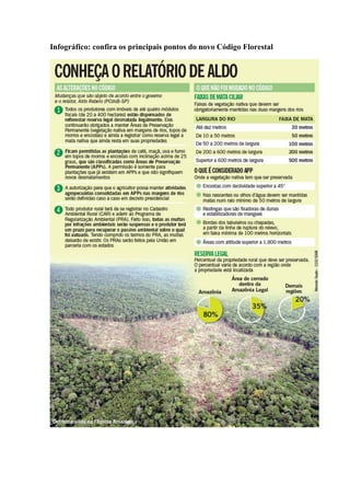Infográfico: confira os principais pontos do novo Código Florestal
 