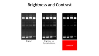 Brightness and Contrast
Original Brightness and
Contrast adjusted
Brightness and
Contrast adjusted
too much
image is
oversaturated
Unethical
 