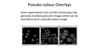 Pseudo-colour Overlays
Some experiments such as FISH microscopy may
generate multiple greyscale images which can be
overlaid to form a pseudo-colour image
 