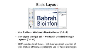 • View Toolbox – Windows > New toolbox or (Ctrl + B)
• View Layers Dialogue box – Windows > Dockable Dialogs >
Layers or (Ctrl + L)
• GIMP can do a lot of things – will show you small selection of
tools that are ethically acceptable to use for figure production
Basic Layout
 