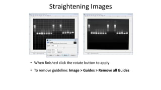 Straightening Images
• When finished click the rotate button to apply
• To remove guideline: Image > Guides > Remove all Guides
 