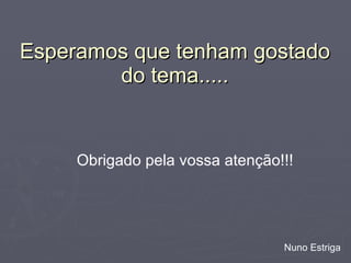 Esperamos que tenham gostado do tema..... Obrigado pela vossa atenção!!! Nuno Estriga 