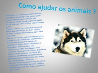 Como ajudar os animais ?Tente suprir as necessidades primeiras desse animal (água e comida). Se ele for um recém-nascido, veja algumas orientações aqui;