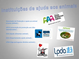 Se o animal não for agressivo, procure levá-lo até um veterinário para verificar o estado de sua saúde;