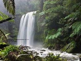 ReciclamosPapelPlásticoVidroMetal- Sulfite- Folhetos- Envelopes- Cartolinas- Papelão- Jornais - Revistas- Embalagens- Papel de Fax- Cartazes - Cx. longa vida- Copos descartáveis- Garrafas Pets- Embalagens- Tampinhas- Tubos de cano PVC- Sacolas plásticas- Frascos de produtos- Copos- Garrafas- Cacos- Embalagens de Conserva- Latas de alumínio - Panelas- Arames- Embalagens metálicas- Tampas de Garrafas- Chapas metálicas- Cobre    Não ReciclamosPapelPlásticoVidroMetal- Papel Toalha- Papel Higiênico- Guardanapo de papel- Papel metalizado, - parafinado- Etiquetas adesivas- Carbono- Papel Celofane- Fotografias- Embalagens de biscoito- Embalagens metalizadas de balas e doces- Isopor- Acrílico- Adesivos- Espelhos- Lâmpadas- Cerâmica- Porcelana- Pirex- Vidros especiais- Clips- Grampos- Esponjas de aço- Latas de Tinta e verniz- Aerossóis