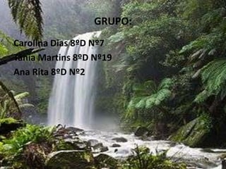 GRUPO:Carolina Dias 8ºD Nº7Tânia Martins 8ºD Nº19Ana Rita 8ºD Nº2