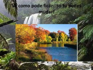 Vê como pode ficar…só tu podes mudar!