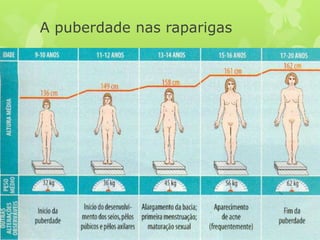 A puberdade nas raparigas
 