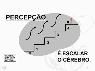 PERCEPÇÃO
                             x!
                             4
                         3

                     2
                 1
CÉREBRO :
             0
                         É ESCALAR
UMA VISTA.
LATERAL .                O CÉREBRO.
                                  132
 