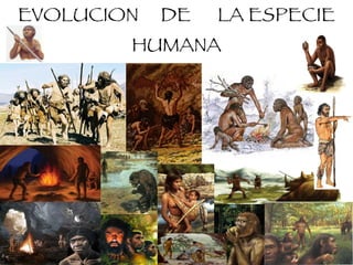 EVOLUCION  DE  LA ESPECIE HUMANA 
