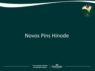 Novos Pins Hinode
 