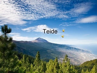 Teide 