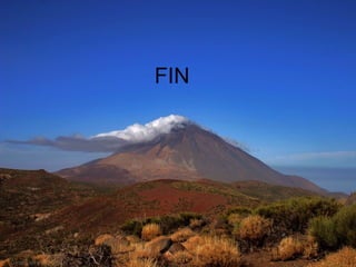 FIN 