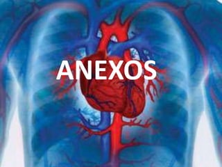 Novo Relatorio Ap(1)