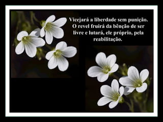 Vicejará a liberdade sem punição.
 O revel fruirá da bênção de ser
 livre e lutará, ele próprio, pela
           reabilitação.
 