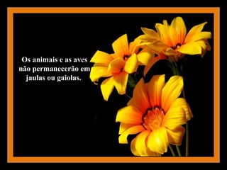 Os animais e as aves
não permanecerão em
  jaulas ou gaiolas.
 