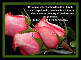 O homem estará subordinado às leis do
amor, respeitando o seu irmão e todos os
irmãos menores do bosque, do deserto e
             das planuras.
     E dar-se-á ao bem doravante...
 