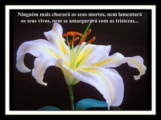 Ninguém mais chorará os seus mortos, nem lamentará
 os seus vivos, nem se amargurará com as tristezas...
 
