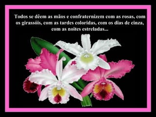 Todos se dêem as mãos e confraternizem com as rosas, com
os girassóis, com as tardes coloridas, com os dias de cinza,
                 com as noites estreladas...
 