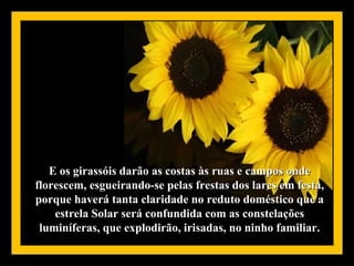E os girassóis darão as costas às ruas e campos onde
florescem, esgueirando-se pelas frestas dos lares em festa,
porque haverá tanta claridade no reduto doméstico que a
    estrela Solar será confundida com as constelações
 luminíferas, que explodirão, irisadas, no ninho familiar.
 