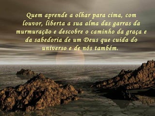 Quem aprende a olhar para cima, com louvor, liberta a sua alma das garras da murmuração e descobre o caminho da graça e da sabedoria de um Deus que cuida do universo e de nós também.   