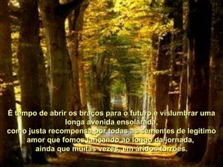 É tempo de abrir os braços para o futuro e vislumbrar uma longa avenida ensolarada, como justa recompensa por todas as sementes de legítimo amor que fomos lançando ao longo da jornada,  ainda que muitas vezes, em áridos torrões. 