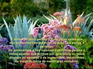 É tempo de pedir perdão à Vida, pelas vezes que não soubemos compreender as suas Leis exatas e perfeitas. De perdoarmos a nós mesmos e pedirmos perdão a todos aqueles que ferimos por ignorância ou pelos ditames do egoísmo e da imaturidade, decorrentes da insignificância do nosso grau evolutivo. 