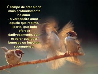 É tempo de crer ainda mais profundamente no amor  - o verdadeiro amor – aquele que redime, liberta, que tudo oferece dadivosamente, sem esperar qualquer benesse ou imediata recompensa. 