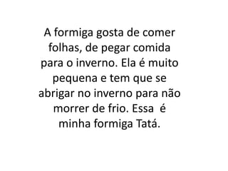 A formiga gosta de comer folhas, de pegar comida para o inverno. Ela é muito pequena e tem que se abrigar no inverno para não morrer de frio. Essa  é minha formiga Tatá.