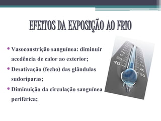 •Vasoconstrição sanguínea: diminuir
acedência de calor ao exterior;
•Desativação (fecho) das glândulas
sudoríparas;
•Diminuição da circulação sanguínea
periférica;
EFEITOS DA EXPOSIÇÃO AO FRIO
 