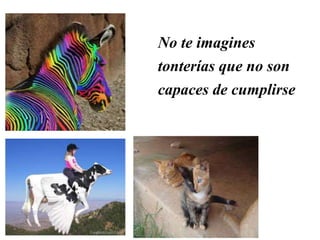 No te imagines
tonterías que no son
capaces de cumplirse