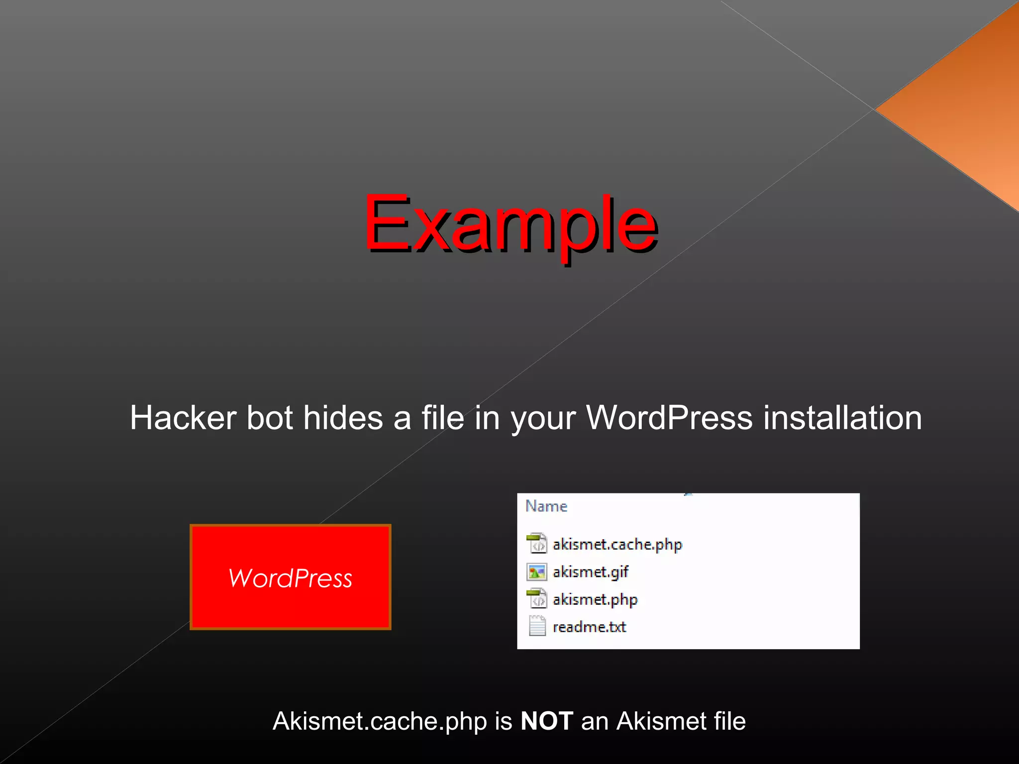 ExampleExample
Hacker bot hides a file in your WordPress installation
WordPress
Akismet.cache.php is NOT an Akismet file
 