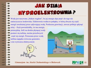 W dolinie rzeki Mrogi | PPTX