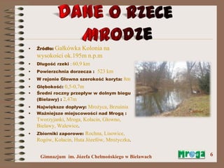 W dolinie rzeki Mrogi | PPTX