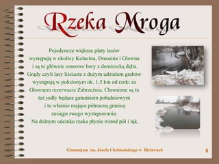 W dolinie rzeki Mrogi | PPTX | Geography | Science