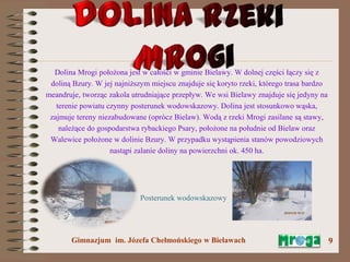 W dolinie rzeki Mrogi | PPTX