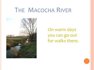 THE MACOCHA RIVER

         On warm days
         you can go out
         for walks there.
 