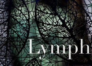 Lymph
 