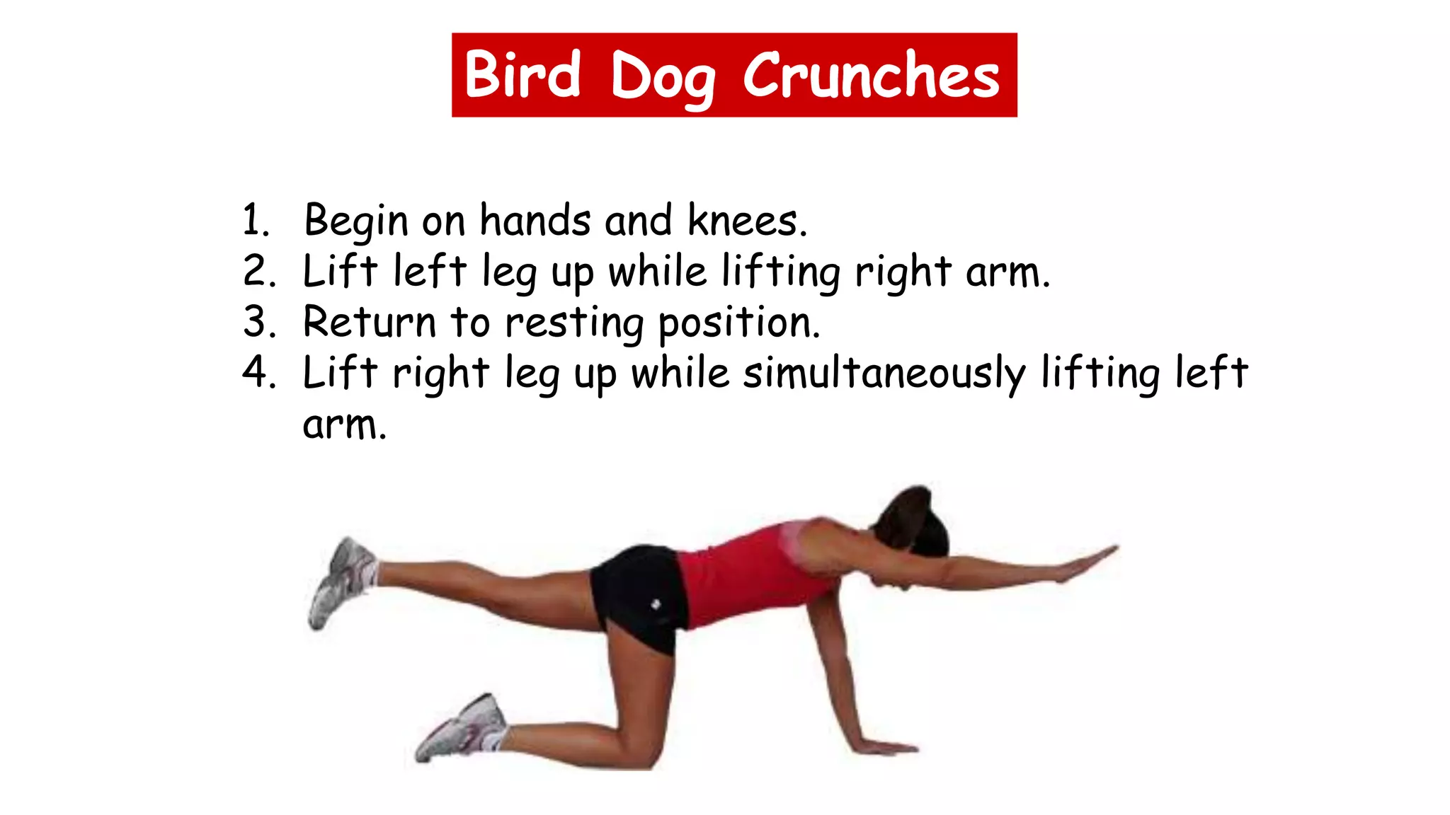 Bird Dog Crunches
1. Begin on hands and knees.
2. Lift left leg up while lifting right arm.
3. Return to resting position.
4. Lift right leg up while simultaneously lifting left
arm.
 
