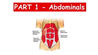 PART 1 - Abdominals
 
