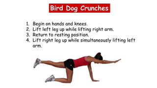 Bird Dog Crunches
1. Begin on hands and knees.
2. Lift left leg up while lifting right arm.
3. Return to resting position.
4. Lift right leg up while simultaneously lifting left
arm.
 