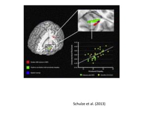 Schulze et al. (2013) 
 