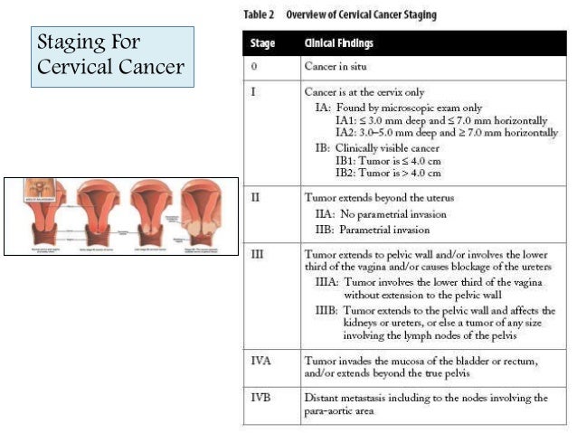 Cervical Cancer Staging Cervical Cancer Staging