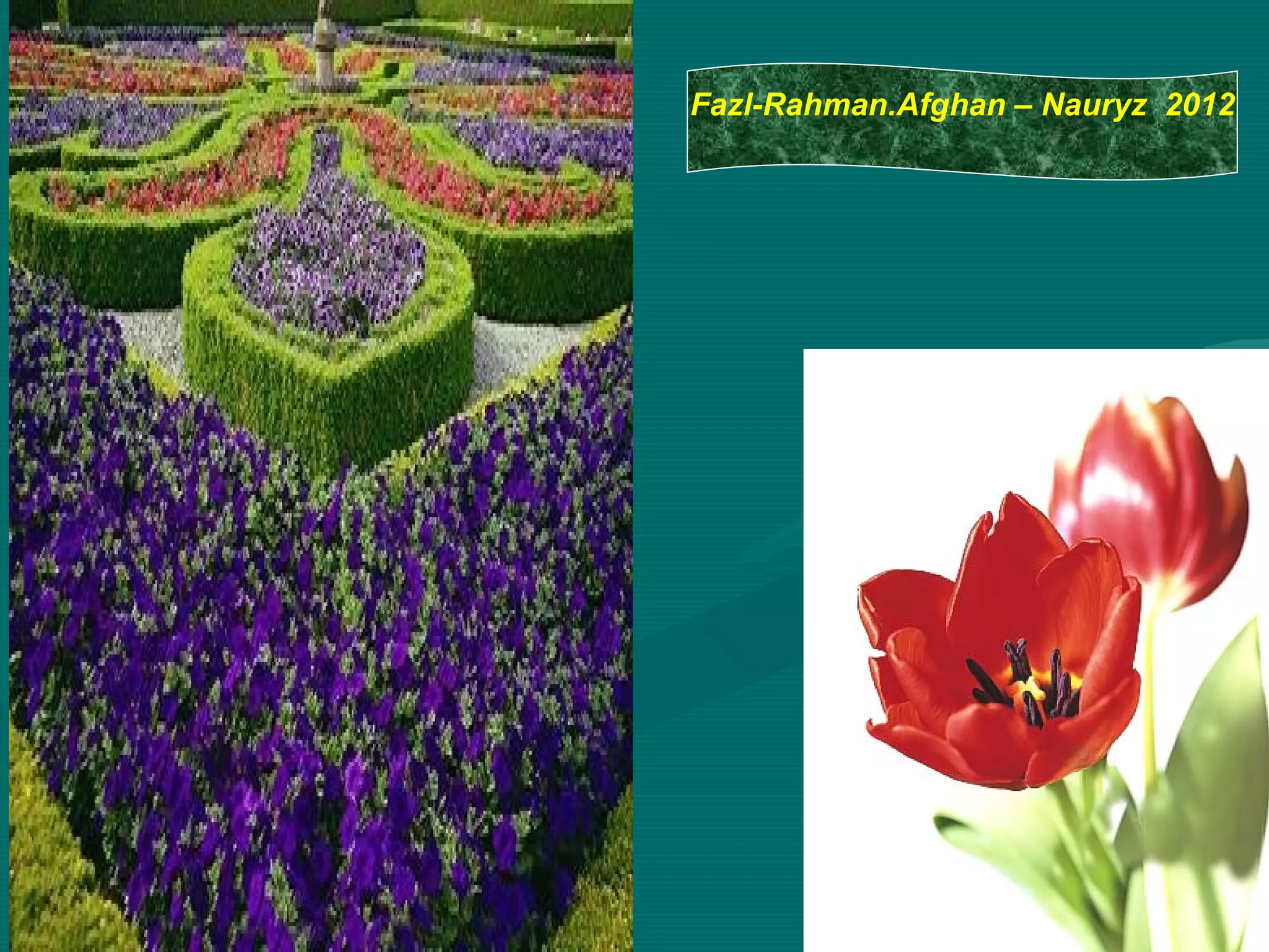 Fazl-Rahman.Afghan – Nauryz 2012
 