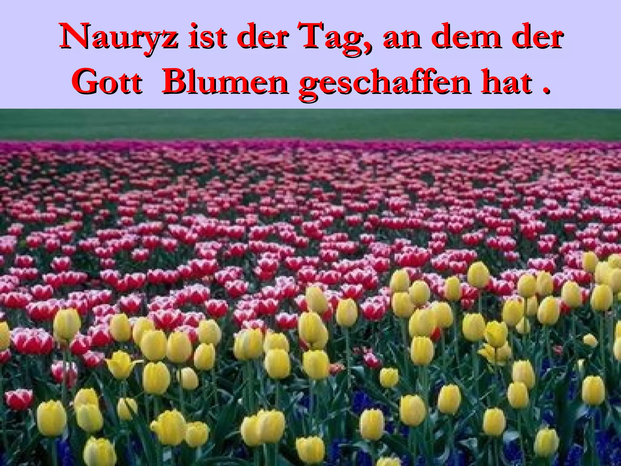 Nauryz ist der Tag, an dem der
Gott  Blumen geschaffen hat .
 