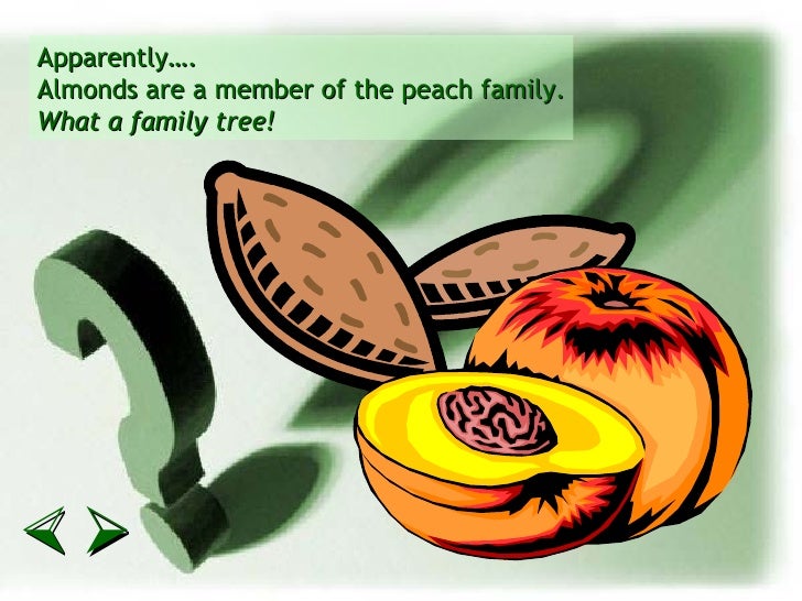 PowerPoint And now... you know everything? Or do you?