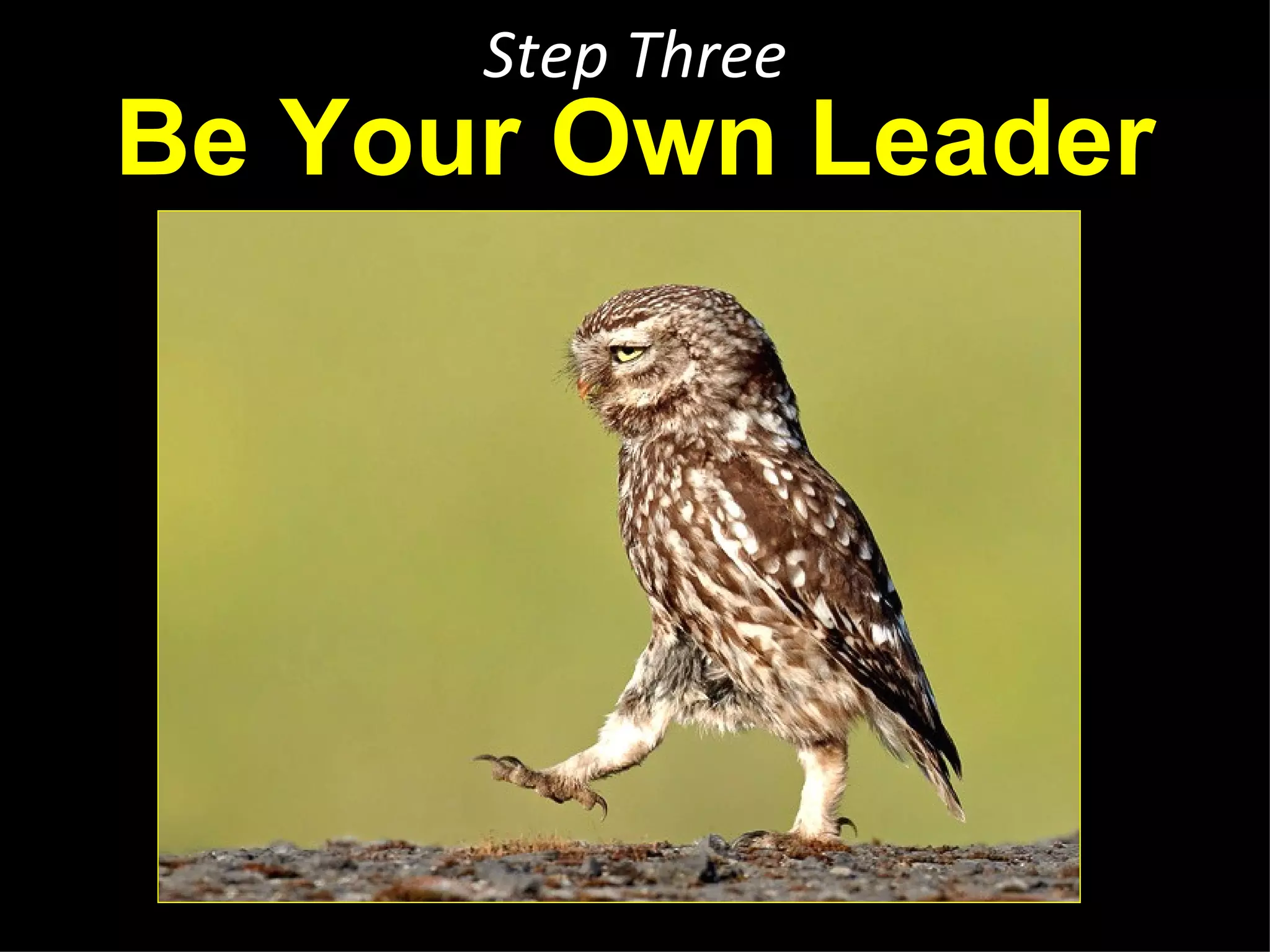 Step Three
Be Your Own Leader




   http://marisacat.wordpress.com/2011/06/27/forward-march-2/
 