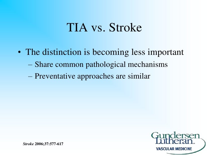 stroke vs tia essay Stroke is the most unique concept in transactional analysisit helps you to understand and improve your interpersonal writing a strong essay online course. stroke vs tia essay Stroke is the most unique concept in transactional analysisit helps you to understand and improve your interpersonal writing a strong essay online course.