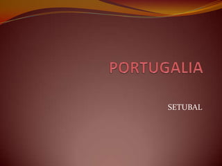 	PORTUGALIA SETUBAL 