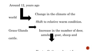 Around 12, years ago
Change in the climate of the
world
Shift to relative warm condition.
Grass Glands Increase in the num...